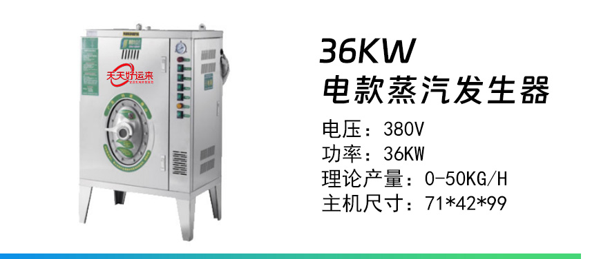 36KW 蒸汽發(fā)生器.jpg