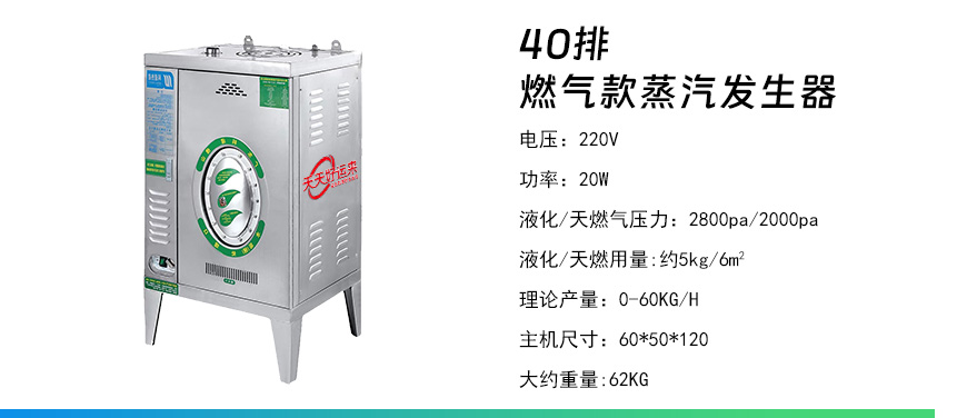 40排燃?xì)獍l(fā)生器.jpg