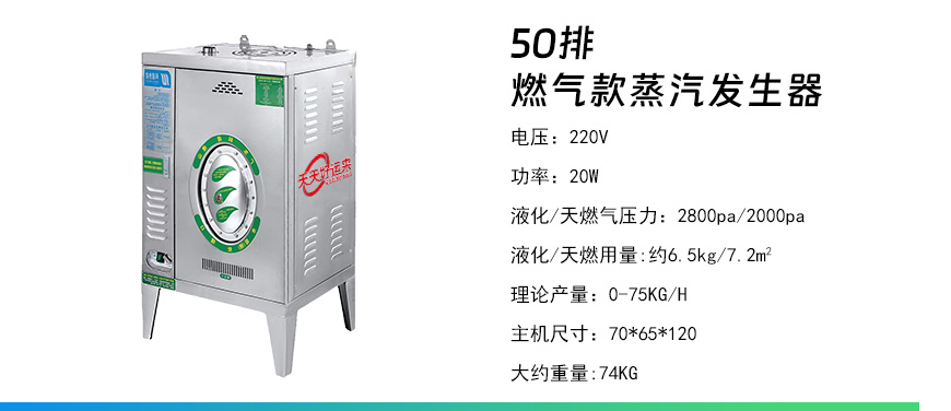50排燃?xì)獍l(fā)生器.jpg