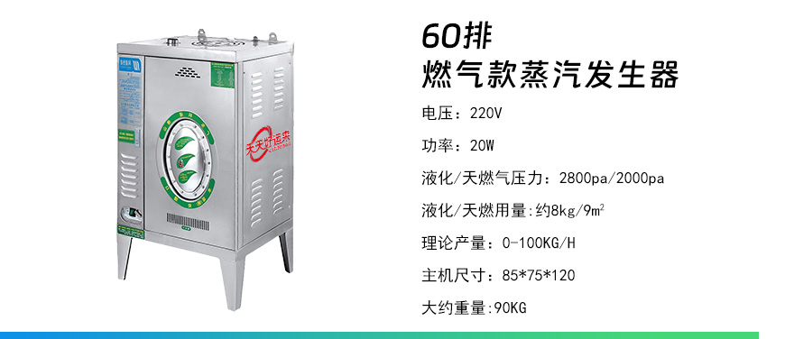 60排燃?xì)獍l(fā)生器.jpg