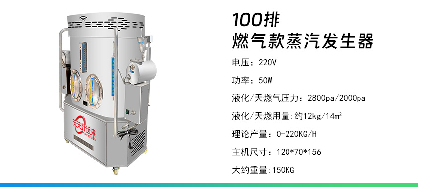 100排燃?xì)獍l(fā)生器.jpg